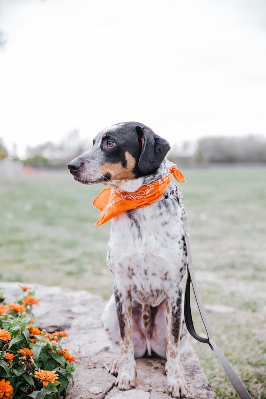 pexels-toni-tan-5864535 pexels-toni-tan-5864535